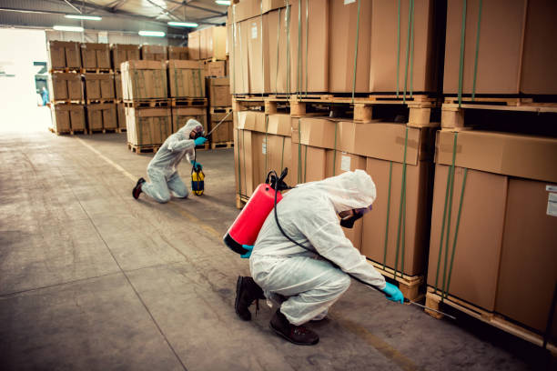 Best Rat Extermination Near Me  in Crooksville, OH