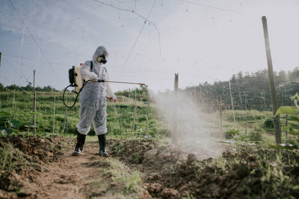 Best Local Pest Control Services  in Crooksville, OH