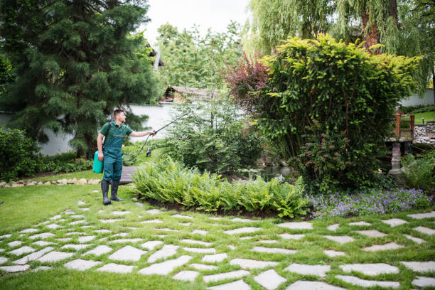 Best Mosquito Control Services  in Crooksville, OH