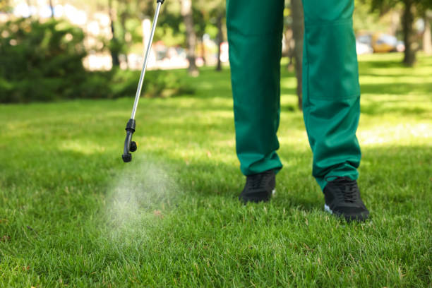 Best Termite Control Services  in Crooksville, OH