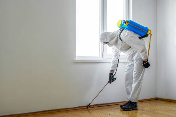 Best Pest Control for Homes  in Crooksville, OH