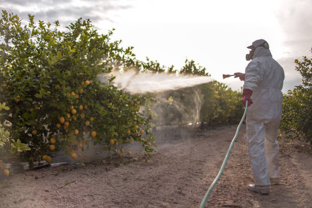Best Pest Prevention Services  in Crooksville, OH