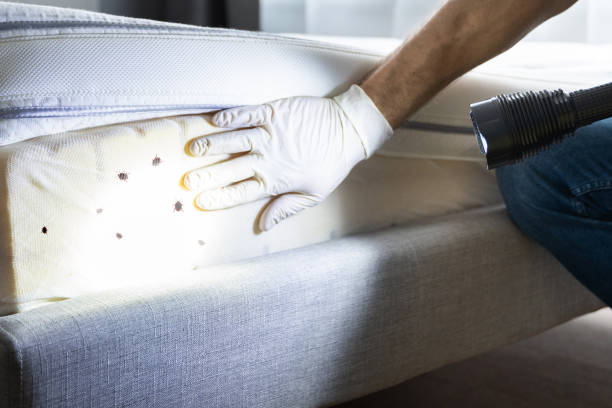 Best Pest Control Near Me  in Crooksville, OH