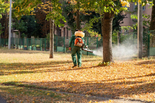 Best Pest Inspection Near Me  in Crooksville, OH