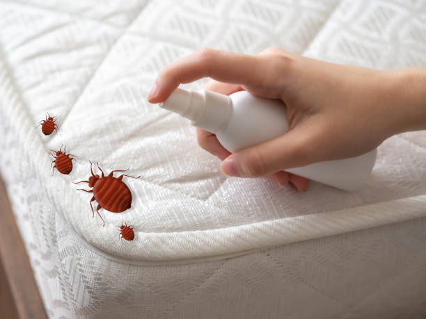 Pest Control for Restaurants in Crooksville, OH