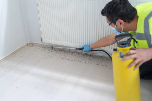 Best Bed Bug Extermination  in Crooksville, OH