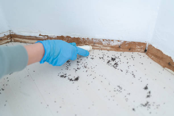 Best Affordable Pest Control Services  in Crooksville, OH