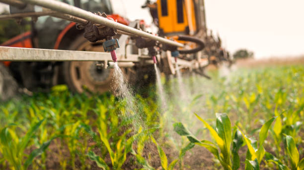 Best Insect Control  in Crooksville, OH