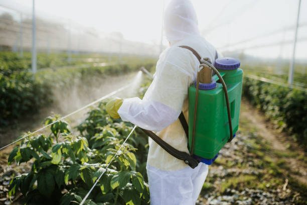 Best Rat Extermination Near Me  in Crooksville, OH